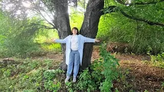 🍒 Дикая черешня или деревья великаны 🍒