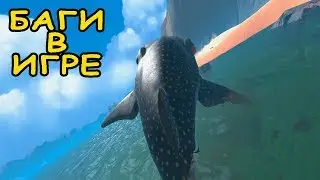 ПРОКАЧКА КИТОВОЙ АКУЛЫ 200 ЛВЛ Feed and Grow Fish
