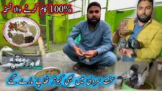 100 % Kam Kry Ga Ya Nuska 💪🏼