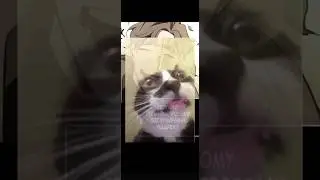 Мир после Скукоживания.4 часть. глава 2#манхва #озвучка