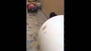ورع