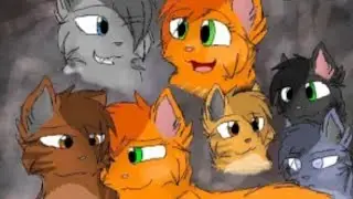Коты воители. Клип-Ты думал что я слабая.