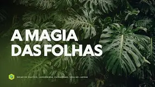 A MAGIA das FOLHAS: COMPOSTAS, RECORTADAS e ENCANTADORAS