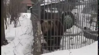 (REMIX) не лезь