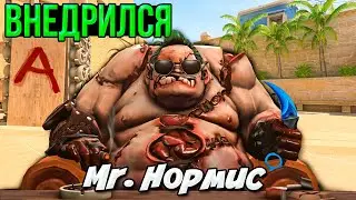 ВНЕДРИЛСЯ В CS2 на роль КЕРРИ из Dota2 (Но Остался Нормисом) Counter-Strike 2 / CS GO