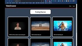 The VideoStreamer Project