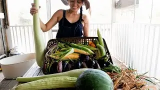 Texas Summer Heat Veggies | Garden Tour | ep.9