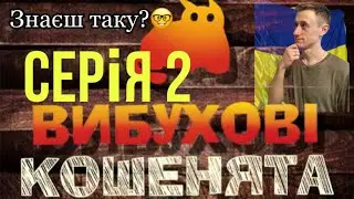 ГРА ВИБУХОВІ КОШЕНЯТА!!! РОЗІГРАШ!!! ДОДАТОК!!! ПРАВИЛА ГРИ! НОВА ГРА! ОГЛЯД ГРИ!