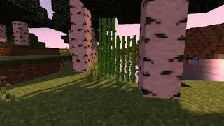 SELP-SHADER relastic graphics