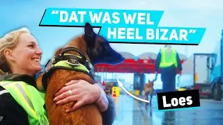 Honden Onmisbaar Bij De Bestrijding Van Mensensmokkel | Military Dogs | #2