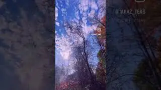 Season of the winds