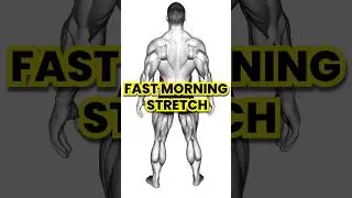Quick Morning Stretches - 5 Best Morning Exercises. #proworkout #morningexercise #stretching