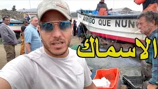 مشيت للمرسى فالتشيلي… شريت الحوت وعشت مغامرة ما تتعاودش! 🐠💰
