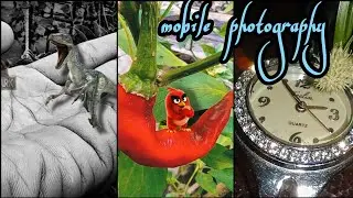 Creative photography || mobile photography ideas || photography ideas || mobile photography hacks