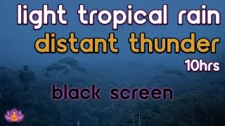[Black Screen] Light Tropical Rain with Distant Thunder for first 40 minutes | Rain Sounds for Sleep
