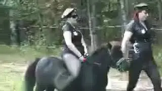 Small pony riding by two girl