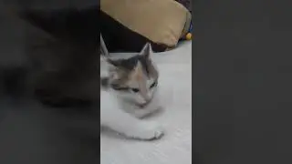 О, у нас пополнение!😍