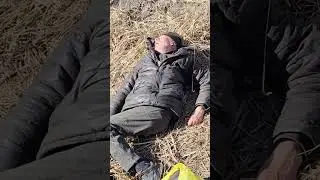 жизнь прекрасна 👍