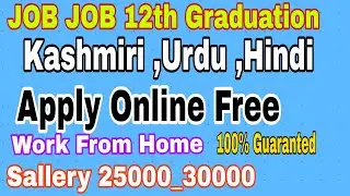 12th pass Job J&K|Online Apply Free|25000-30000k |Work from home