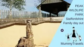 Peak Wildlife Park, Staffordshire - baby meerkats, lemurs & penguins