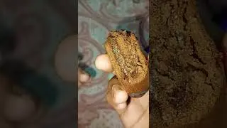 Britannia cake roll yo! (triple choco Swiss roll)