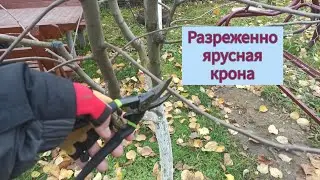 Обрезка яблони! Поддерживаем разреженно ярусную крону.