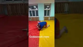 Воины проснулись. Какие стили вы увидели? #классика #грекоримская #юмор #греплинг #бокс #mma #ufc