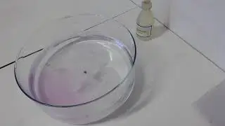 Kalium in Wasser+Phenolphthalein2