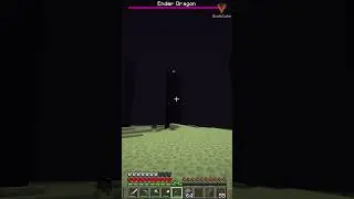 How to Beat Minecraft! - Scalacube