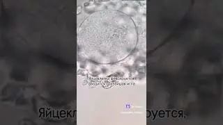 28 июня 2024 г.