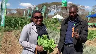 Organic Farming is helping many farmers grow health food