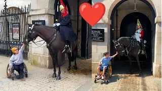 8 Heart-warming Moments The Public Make Special Bonds With Kings Guard Horses!