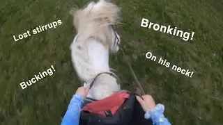 HACK GONE WRONG! | Hacking At My Friends | GoPro | Equinemaddie