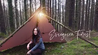 Solo Tarp Wild Camping in a Mountain Forest 🌿