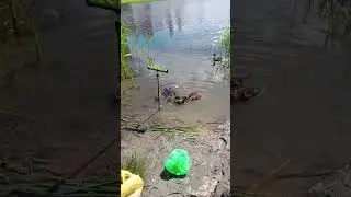 вчера только так. 