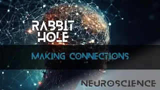 Making Connections - E92