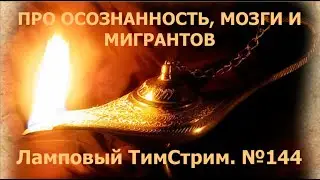 ПРО ОСОЗНАННОСТЬ, МОЗГИ И МИГРАНТОВ. Ламповый ТимСтрим. №144