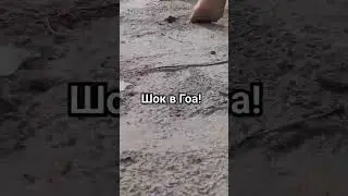 Никогда такого не было и вот опять! Всю жизнь ходим босиком и наши дети, а тут такое! 