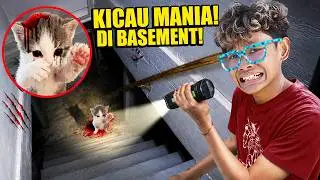 ALL THIS TIME THE CAT CHIRPING MANIA HAS BEEN IN THE BASEMENT OF A BOY'S HOUSE!
