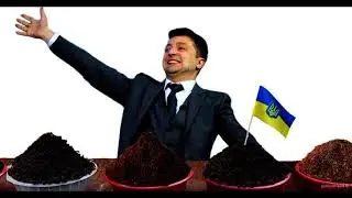 33. К некоторым восточноукраинцам по поводу дня незалежности.
