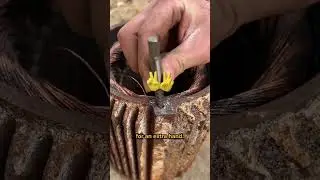 Get ANY screw out with this! 🔥
