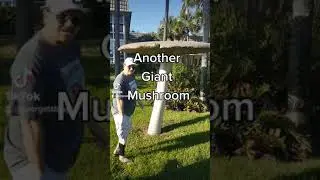 another giant mushroom