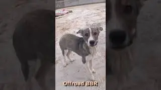 Едем на Дон