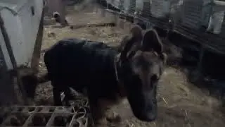 Набі 2