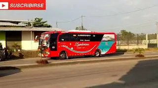 Zambrano & Reina del camino