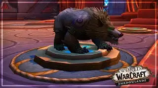 NEW Druid Form Customization Options In The Barber Shop | Shadowlands Alpha