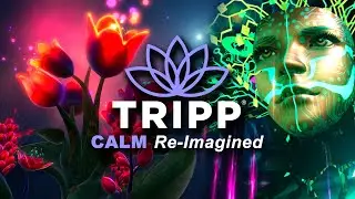TRIPP  |  Oculus Quest, Rift Platform, + Oculus Go