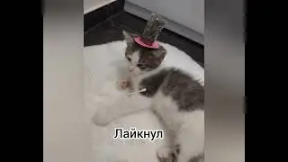 А какой Себастьан ты?