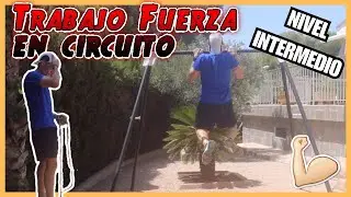 💪 🔥 Circuito de fuerza 🏋️ Nivel Intermedio 🟠 [Entrenamiento/ Fitness]