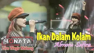 IKAN DALAM KOLAM - ALMERA SAFIRA - NEW MONATA - DHEHAN AUDIO - LIVE WAGIR MALANG
